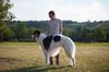 Profile picture of the animal