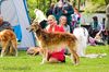 Profile picture of the animal