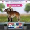 Profile picture of the animal