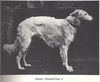 Profile picture of the animal