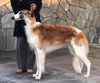 Profile picture of the animal
