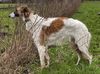 Profile picture of the animal