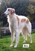 Profile picture of the animal