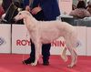 Profile picture of the animal