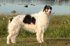 Profile picture of the animal