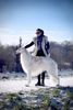 Profile picture of the animal