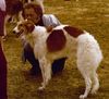 Profile picture of the animal