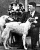 Profile picture of the animal