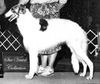 Profile picture of the animal