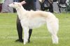 Profile picture of the animal