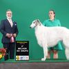 Profile picture of the animal