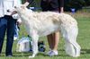 Profile picture of the animal