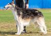 Profile picture of the animal